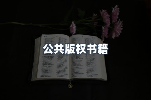 公共版权书籍